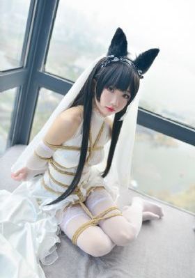 济公传游本昌85版电视剧免费观看_4K高清视频播放